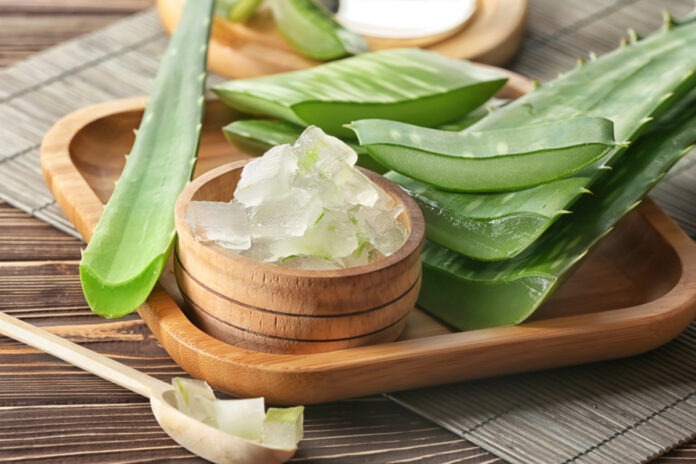 Step into any health food store, and you'll encounter a plethora of aloe vera-based products.