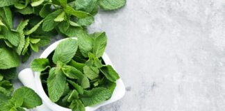 Mint leaves help break up mucus buildup in the respiratory tracts, allowing for easier breathing.