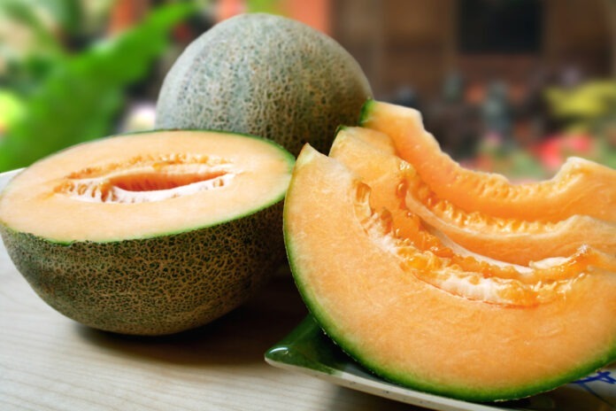 Cantaloupes contain dietary fiber, which is crucial for maintaining digestive health.