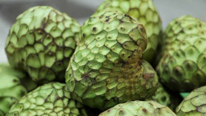 Cherimoya is packed with dietary fiber, which plays a crucial role in promoting digestive health.