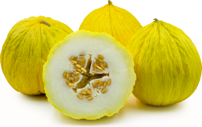 Casaba melons contain dietary fiber, which plays a crucial role in supporting digestive health.