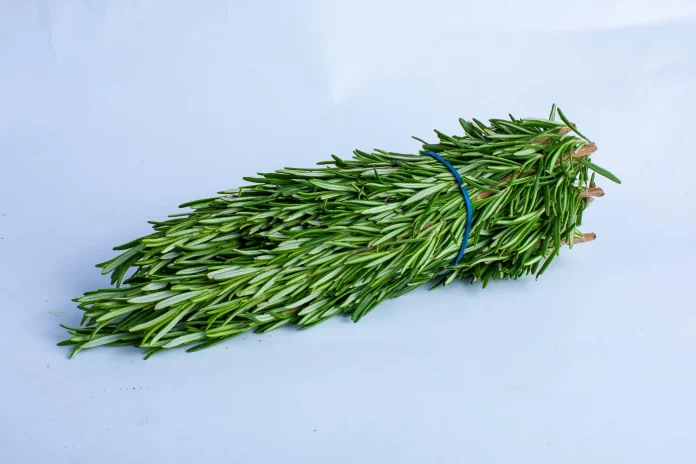 Rosemary acts as a diaphoretic, promoting sweating to detoxify the body and eliminate the virus.