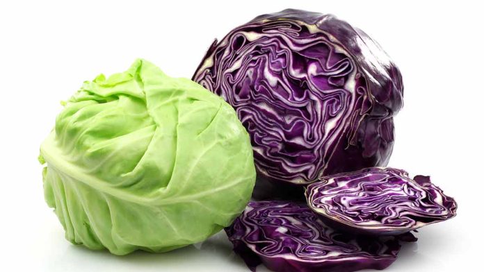 Cruciferous vegetables like cabbage contain sulforaphane, a compound known to inhibit cancer cell growth.
