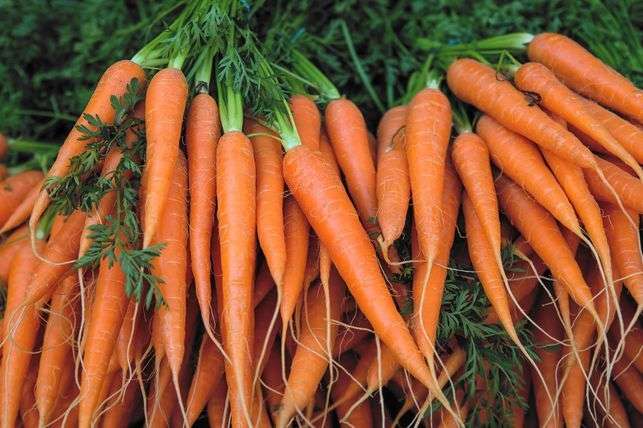 While carrots may not grant super night vision, they are rich in beta-carotene, lutein, and zeaxanthin.